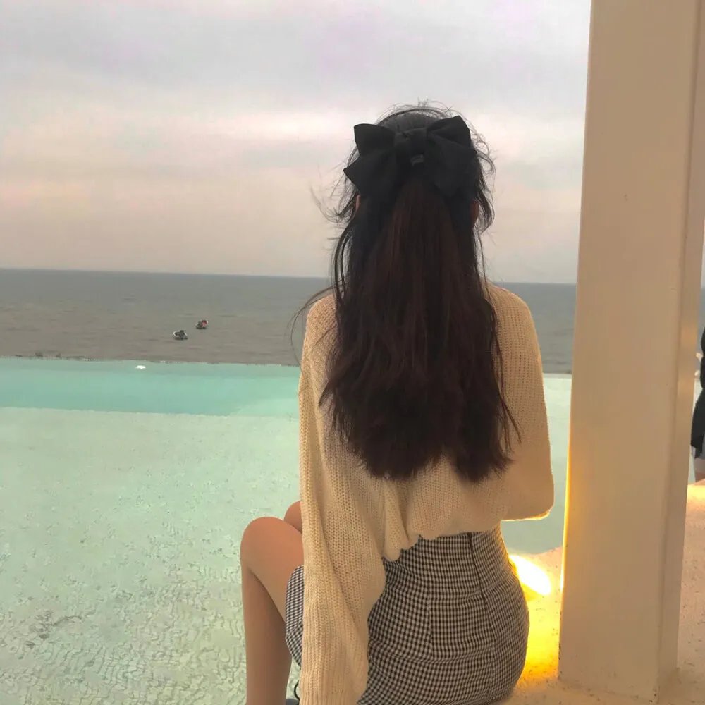沙普的挑战封面